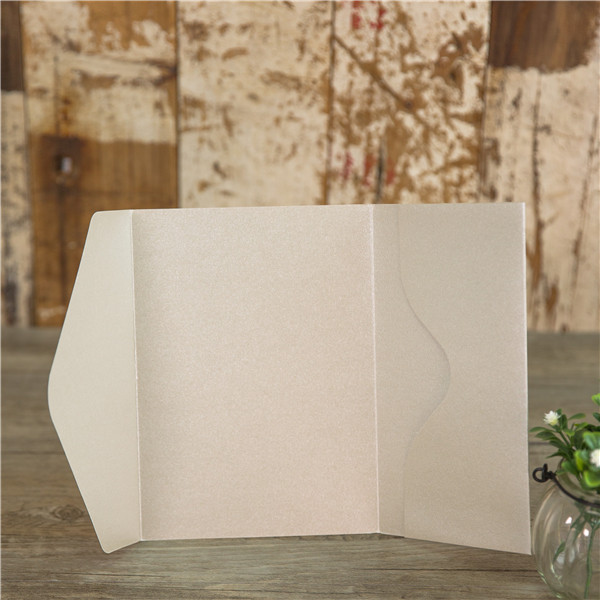 Faire-part modèle pochette WPFB2116 - Cliquez sur l'image pour la fermer